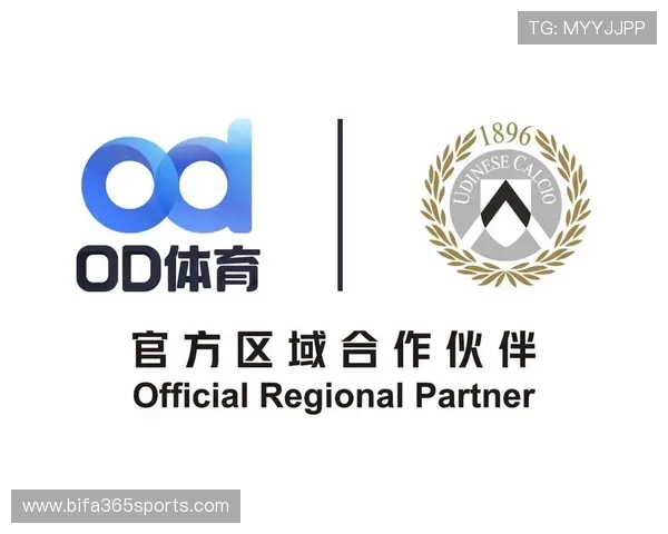 OD体育官网客户服务与技术支持全攻略确保玩家在游戏过程中无忧无虑
